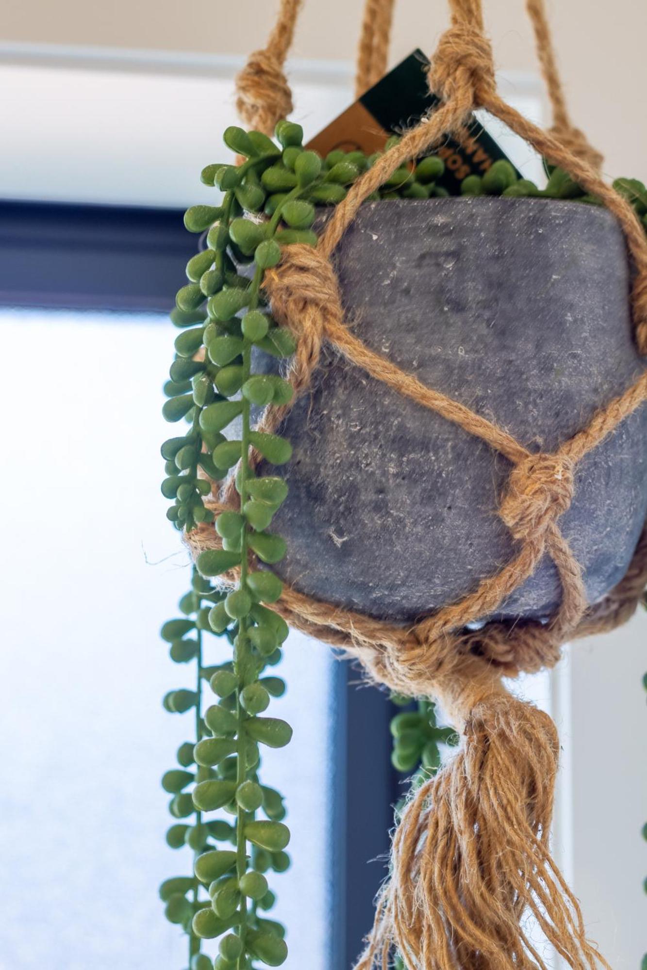 Studio Bliss: Explore From Wilmer St Christchurch Exterior photo