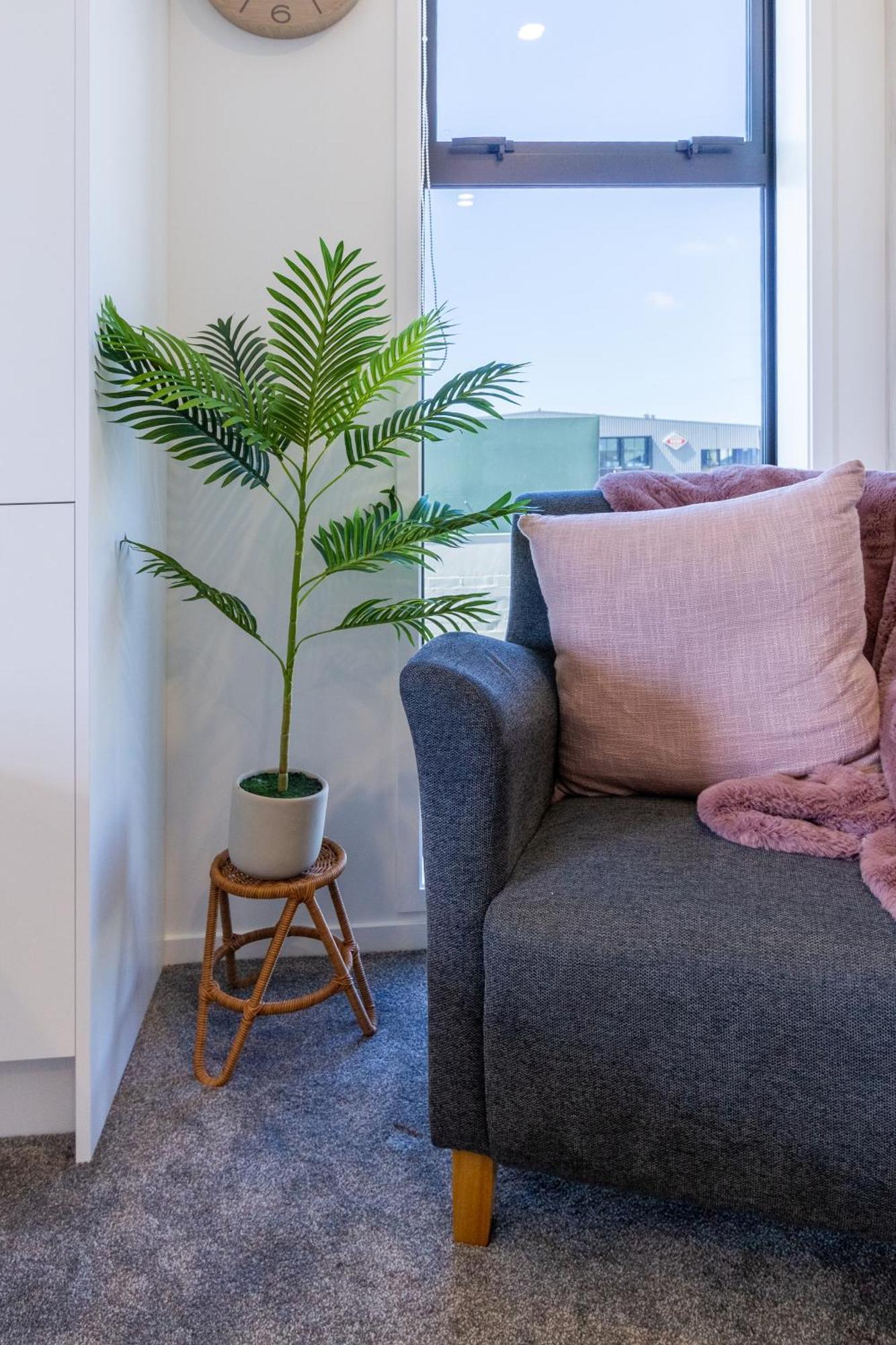Studio Bliss: Explore From Wilmer St Christchurch Exterior photo